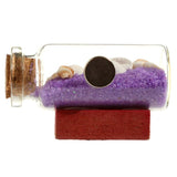 Farbige Sandschalen-Flaschenstrand-Souvenirmagnet
