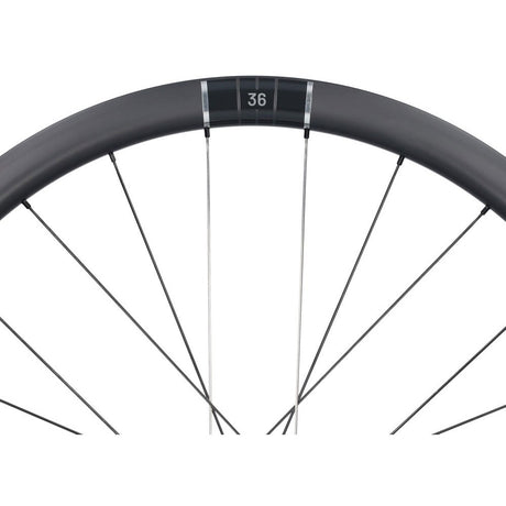 Selle Monte Grappa Miche Laufradsatz Kleos RD Team Edition 35 mm Disc Tubeless