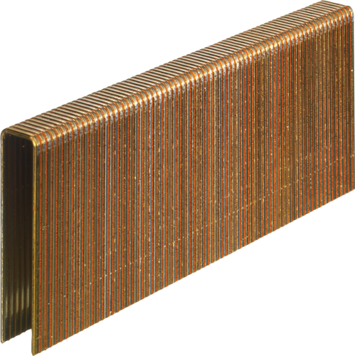Senco n-nieten 44mm galva ted (10000st)