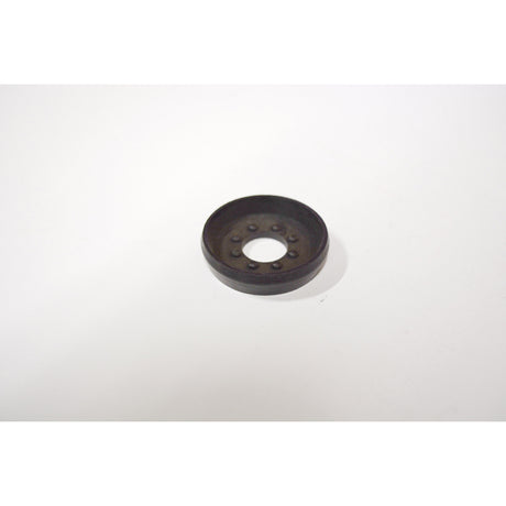 SKS Pumping Piston Lircon+29er 10381