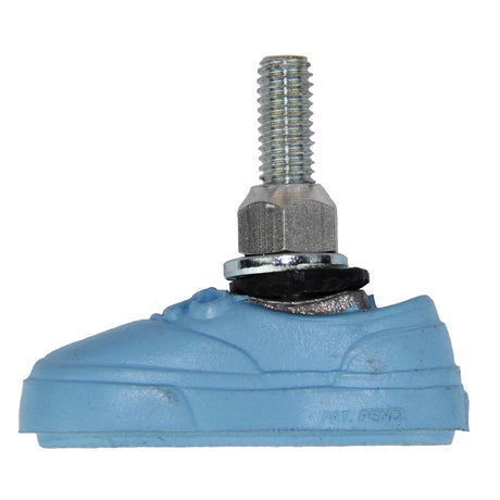 Choot Stop liest Vans Sky Blue (2.)
