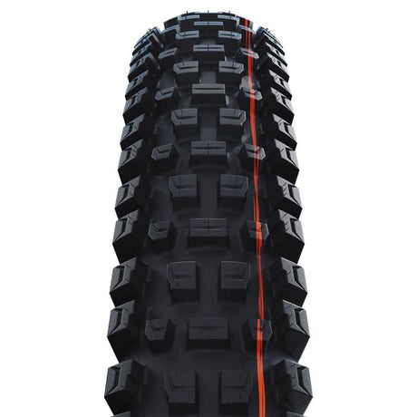 Schwalbe Faltreifen Albert Evo Trail Pro 63-622 TLR schwarz