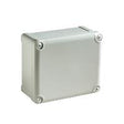 Schneider Electric ABS-Industrieschrank 192 x 121 x 105 mm hoch