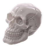 Kleines gruseliges Totenkopf-Wohnaccessoire