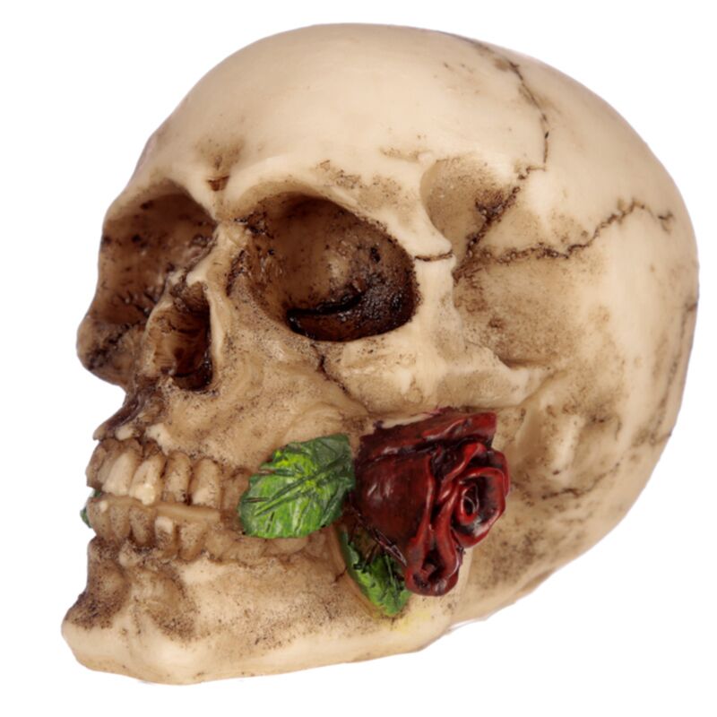 Totenkopf mit Rose zwischen den Zähnen, Wohnaccessoire