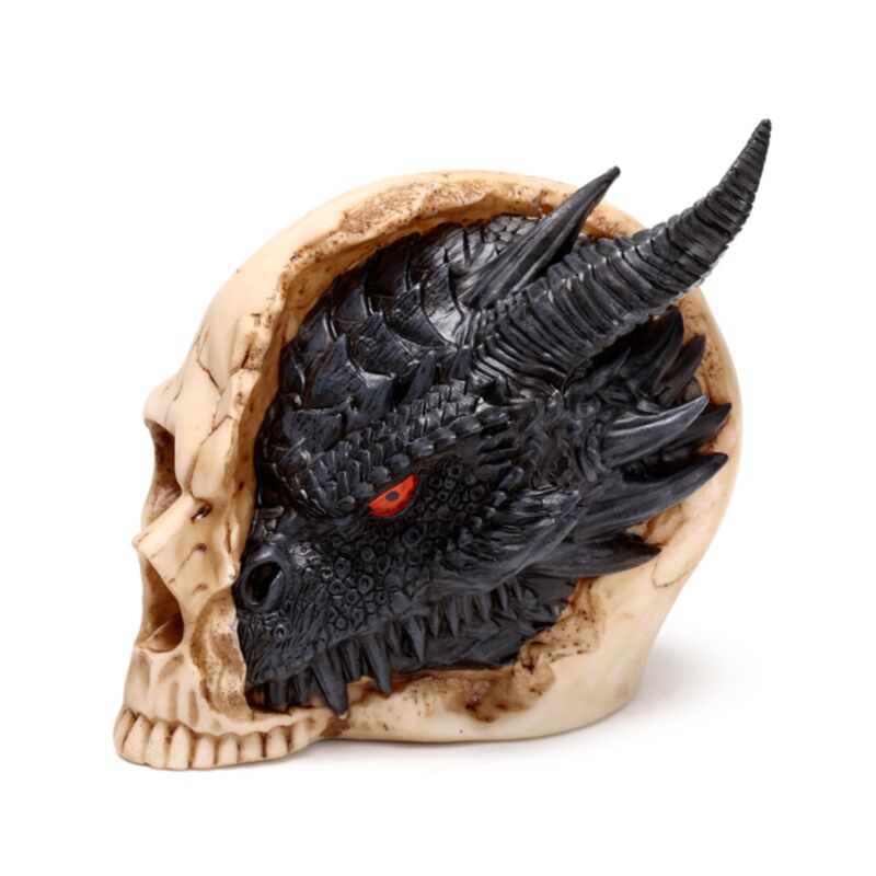 Schatten der Dunkelheit, schwarzer Drache im Totenkopf – groß