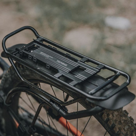 Topeak Fender hinter Tetrarack Fender M2