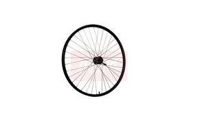 Roland Vorderrad 28 Ryde Taurus21 Shimano QB400 Schwarz
