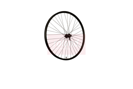 Roland Frontrad Ryde 28 Rival26 Shimano QC400 Schwarz
