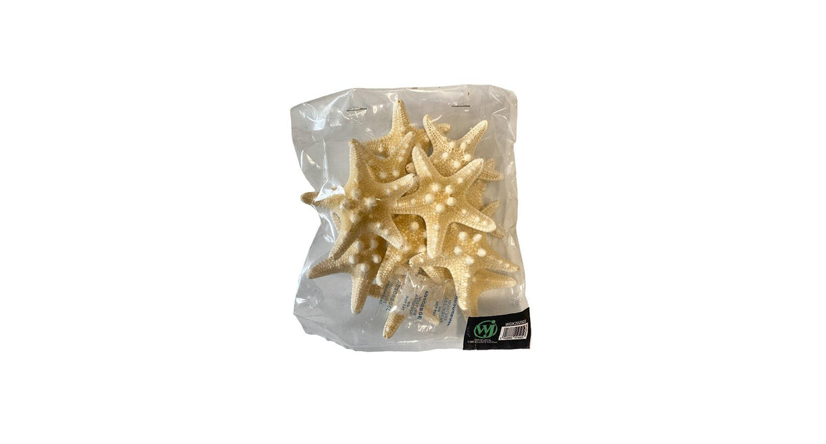 Knobby starfish bleached 5-7cm 12pcs