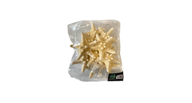 Knobby starfish bleached 5-7cm 12pcs