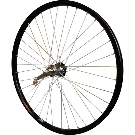 Roland Hinterrad 28 Andra 40 Shimano Remonaf Schwarz