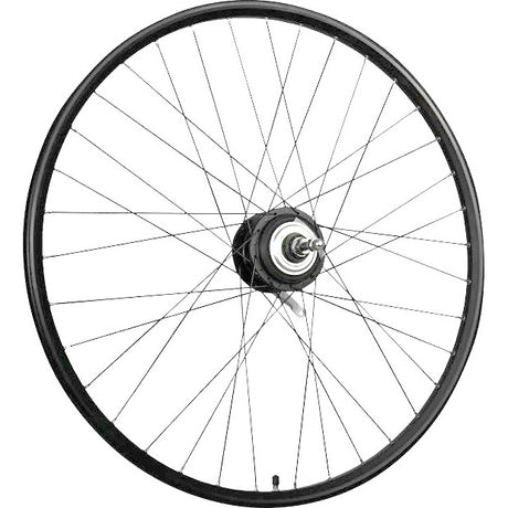 Roland Hinterrad 28 36G Ryde Taurus21 Nexus 8 Schwarz entfernen
