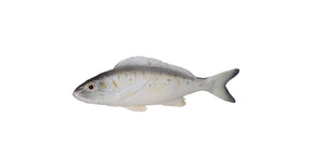 Ornament fish grey 8x3x28cm