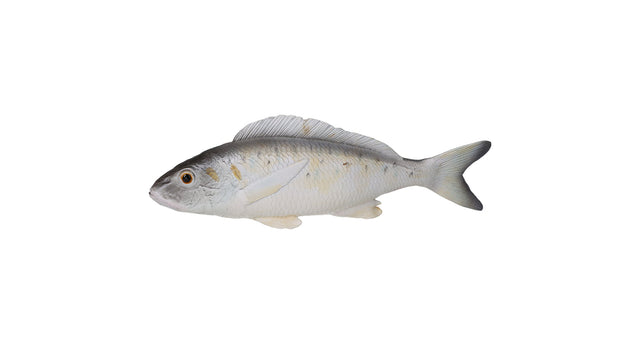 Ornament fish grey 8x3x28cm