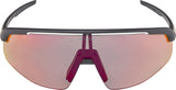 Alpina Turbo Pro qv – Sportbrille