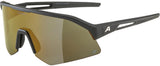 Alpina Sonic HR Q – Sportbrille