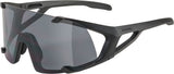 Alpina Hawkeye - Sportbrille
