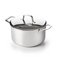 Alva maestro kookpot met deksel ø16cm