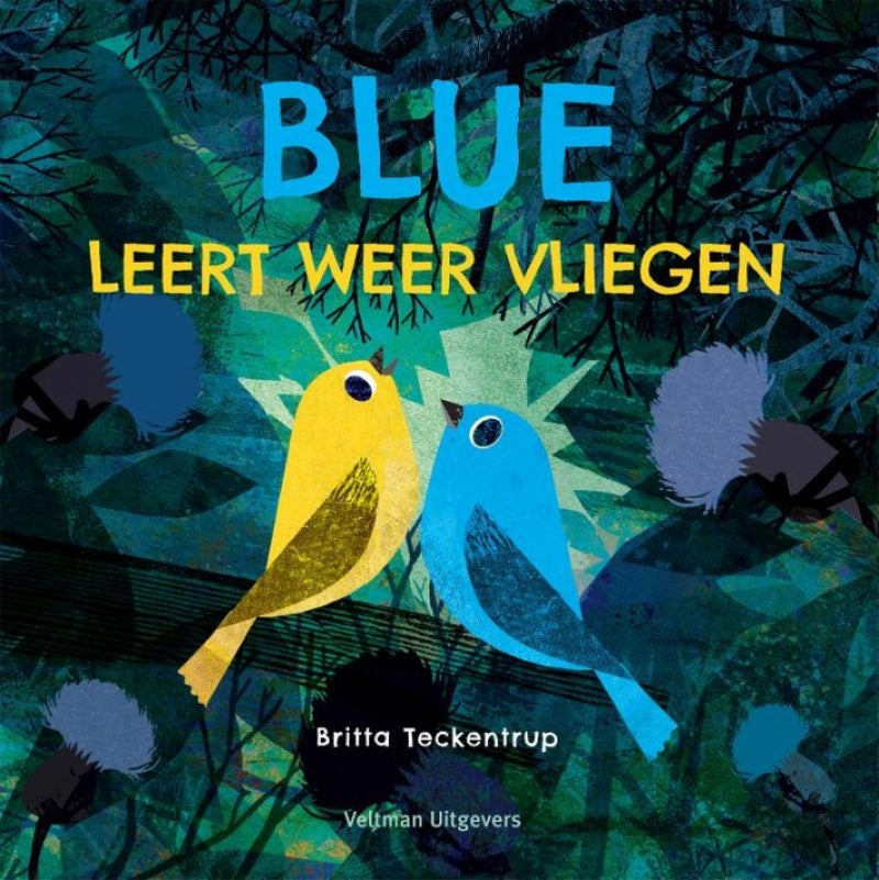 Veltman Blue lernt wieder fliegen