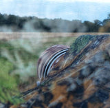 Buteo -Fotoausrüstung Buteo Fotos Camoufagenet 8 Leicht 1,5 x 4 m