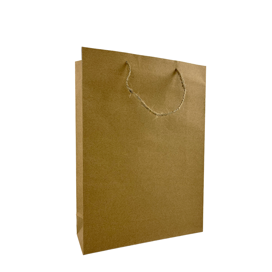 Geschenktüte Kraftpapier mittel