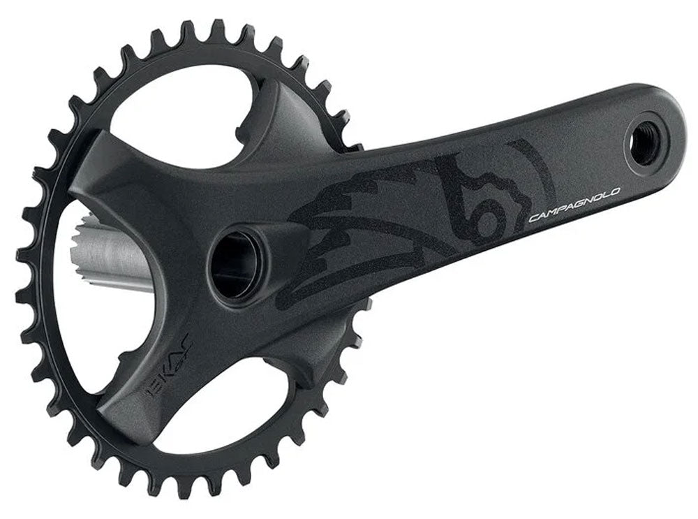 Campagnolo Kurbelgarnitur Ekar GT