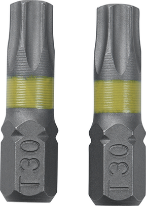 Verbindungsbits Torx G30 (2 Stück) – coxt973073