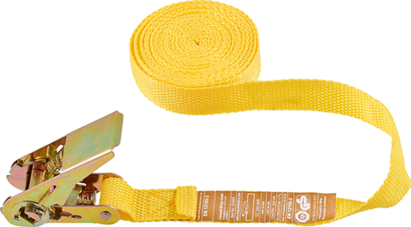 Connex-Spanngurt 5,0 m mit Hebezeug 1 DR 245 kg – B34403