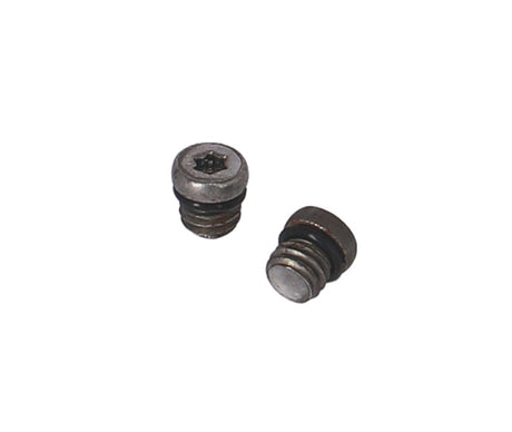 XLC Remd Sram Entlüftungsschraube 6 mm M6 x 0,8 mm BRX127