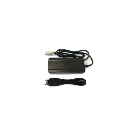 Van Beijck Batterie Ladegerät XLR 4-Pins Neutrik 36V 2A PMU4 einschließlich Koga, Sparta, Ion
