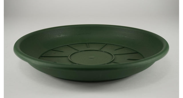 Pak á 10 schotel domus 42 cm groen