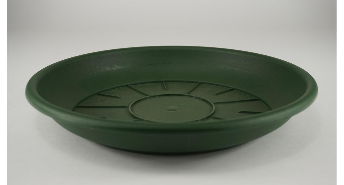 Pak á 10 schotel domus 24 cm groen