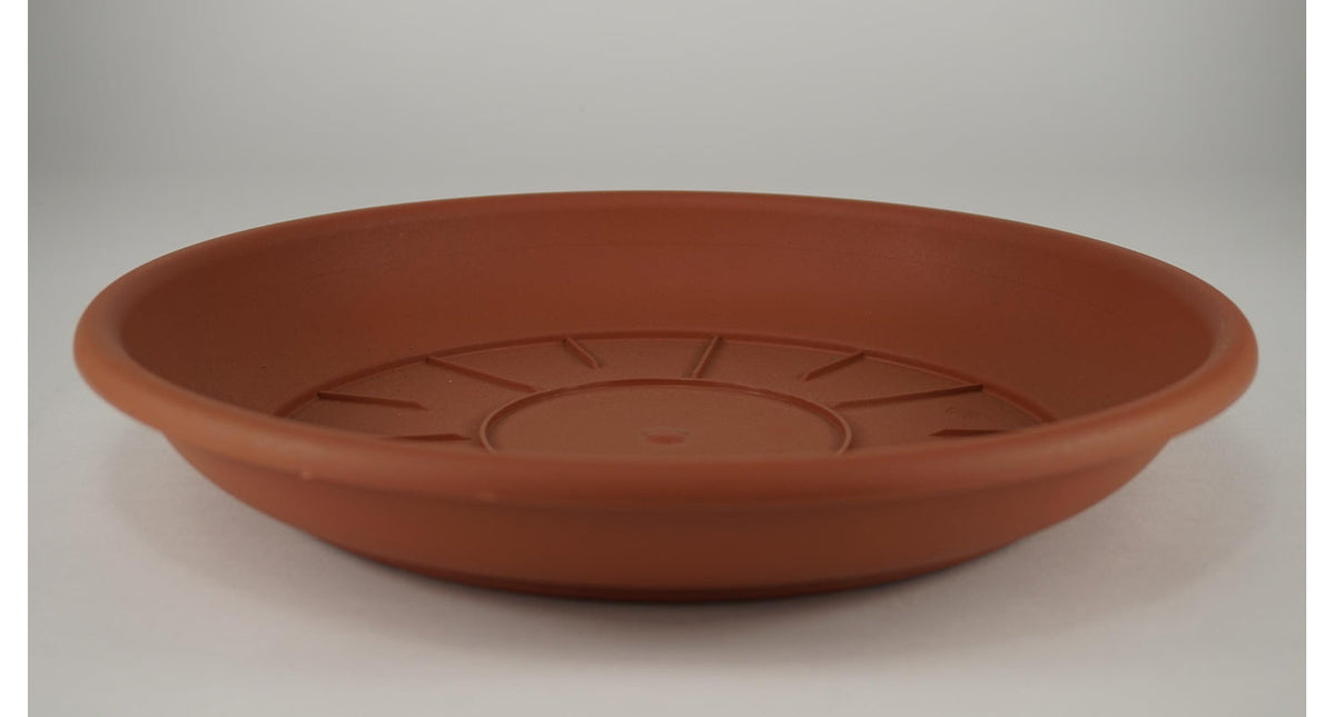 Pak á 10 schotel domus 16 cm terra