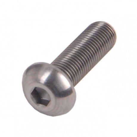 Bofix Allenbout M6x30 Edelstahl Bolkop (25st)