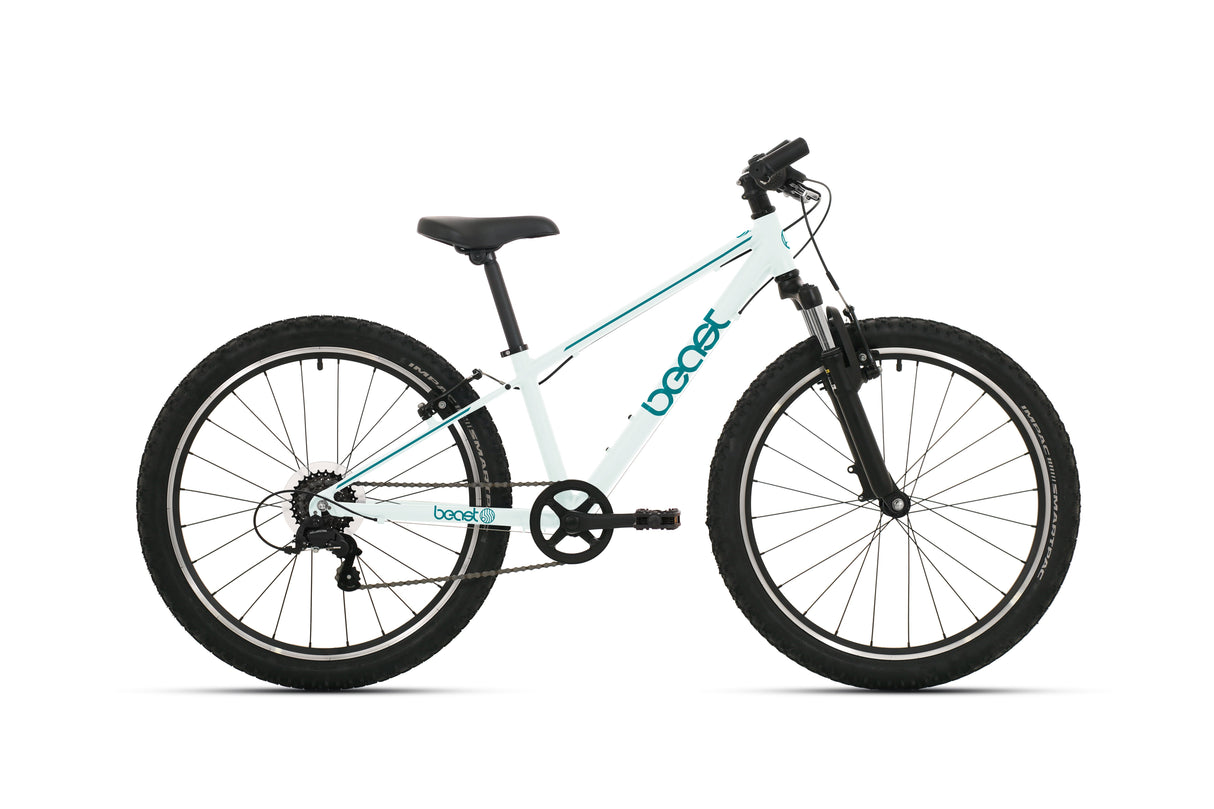 Bikefun Kinderfahrrad Beast 20 Zoll mit Shimano 6 Gängen und V-Bremsen – Seegras