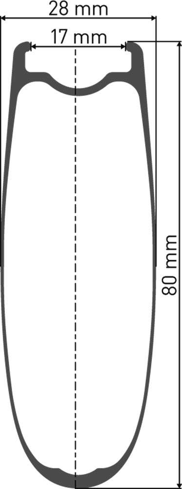 DT Swiss Arc 1400 Dicut® 80 28 Shimano HG Carbon-Hinterrad
