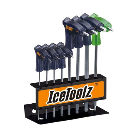 Allen Keys setzen einen 8-teiligen Zwillingkopf in Standard