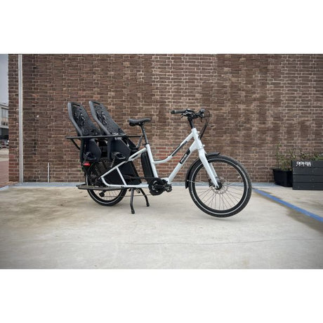 DS deckt Cycling Cover Cargo LT Bike - Schwarz ab