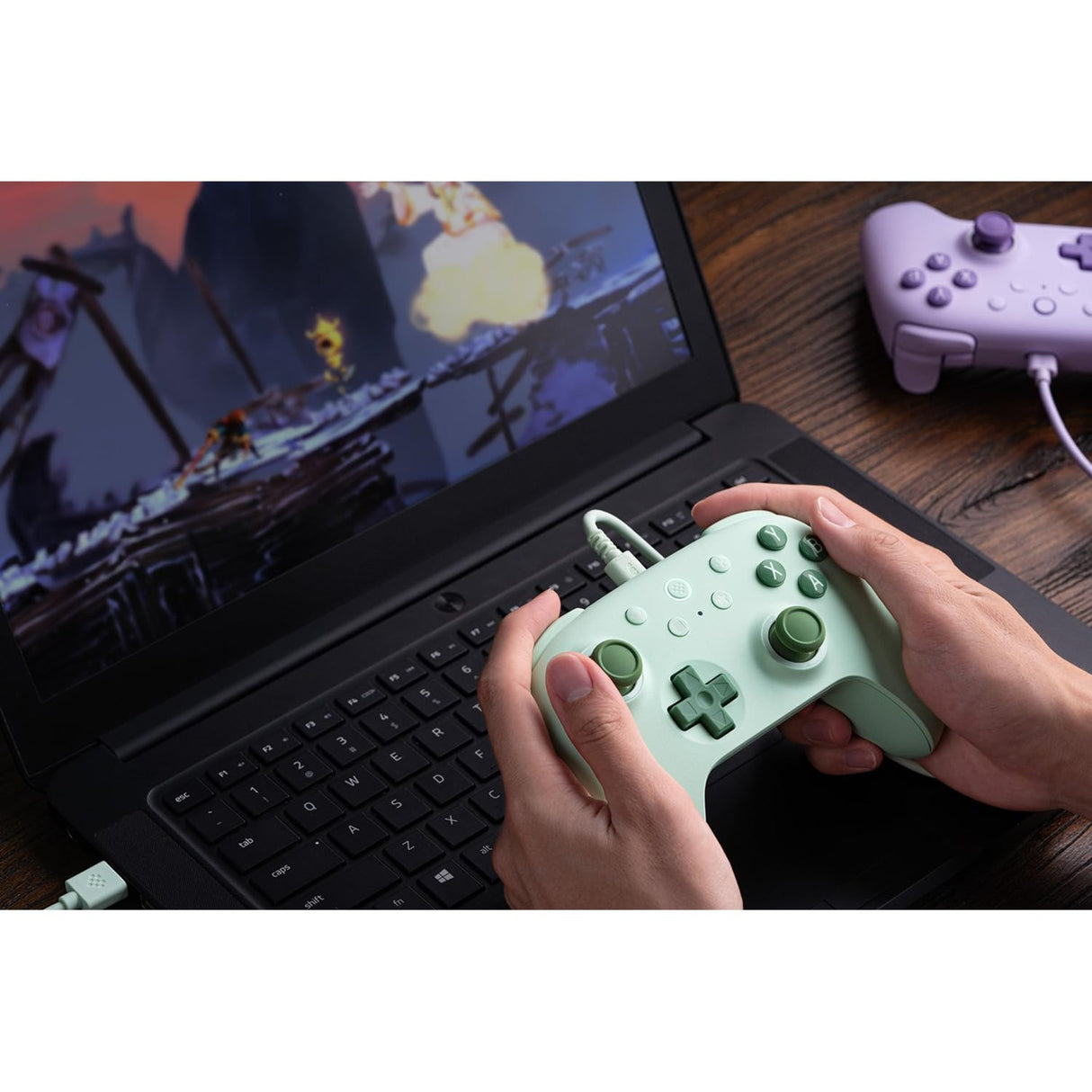 8bitdo Ultimate 2c verkabelt