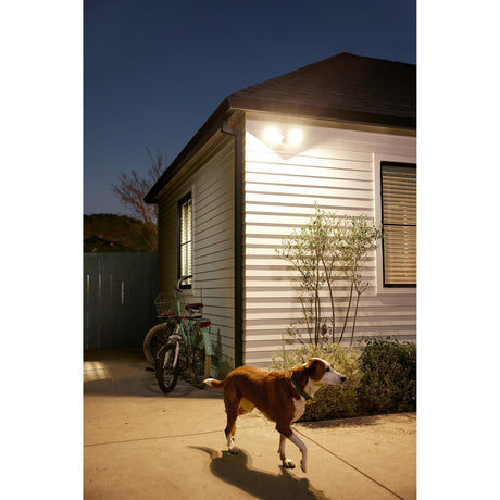 Google Nest Cam mit Spotlight – Outdoor – kabellos