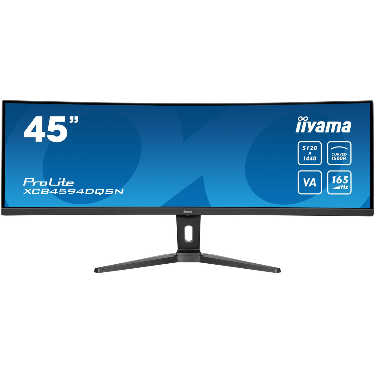 Iiyama Prolite