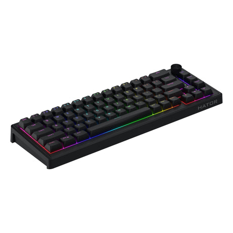 Hator skyfall wired rgb mechanisch gaming toetsenbord (zwart, us lay-out (qwerty), hator aurum sterling, 65%, rgb, double shot abs, hot-swap)