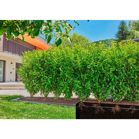 Gardena Drop Tube für Büsche Hecken (50 m)