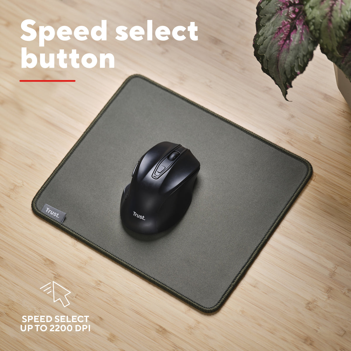 Trust Nito Silent Wireless Mouse (schwarz, 800–2.200 dpi)