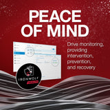 Seagate Ironwolf 4 TB