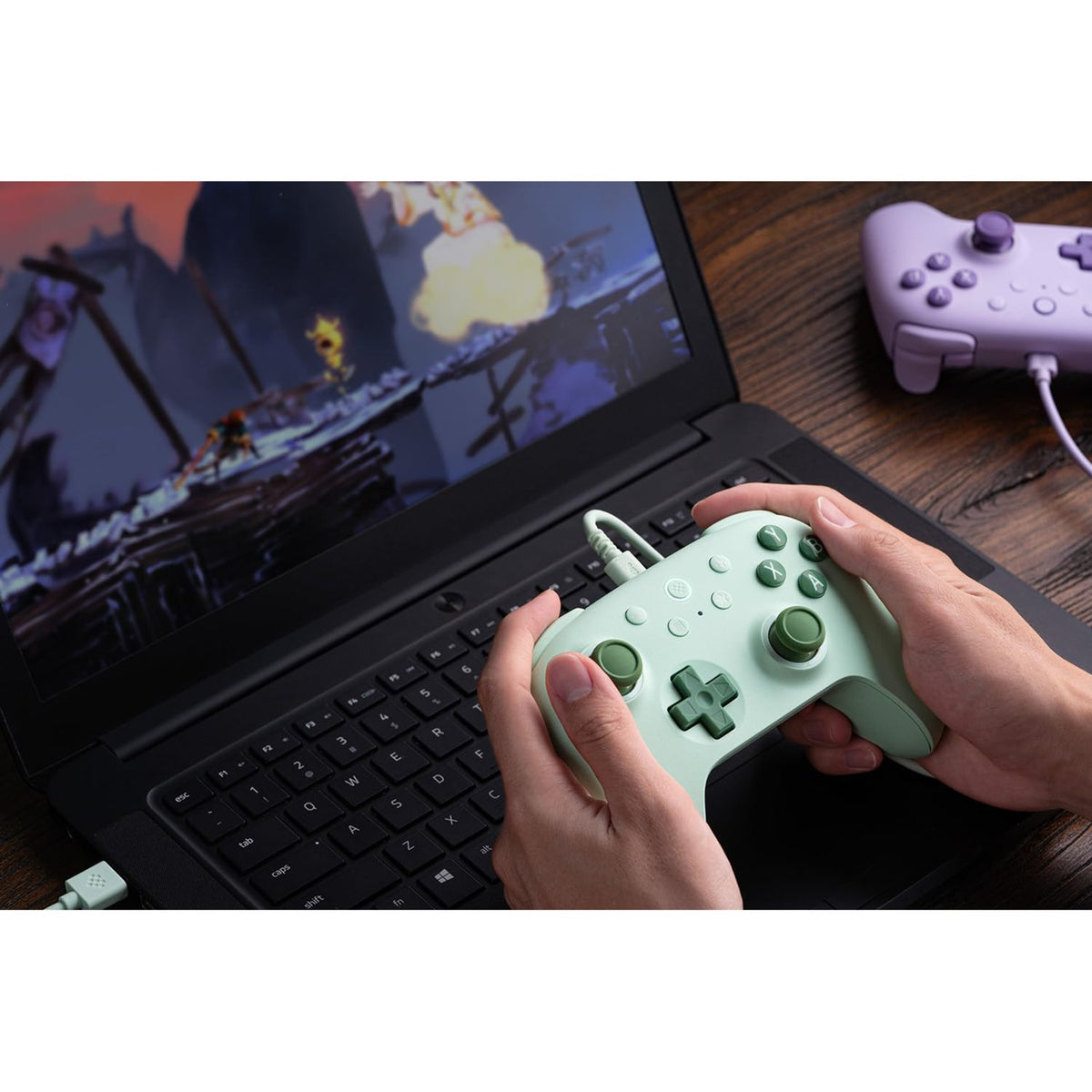 8bitdo Ultimate 2c kabelgebundenes Gamepad (grün)