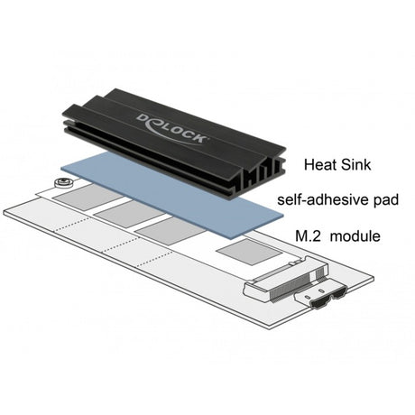 DELOCK DELOCK WEIDEKREINK 100 mM für M.2 -Modul