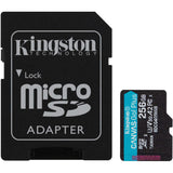 Kingston canvas go! plus microsdxc 256 gb geheugenkaart (zwart, incl. adapter, class 10, uhs-i u3, v30, a2)