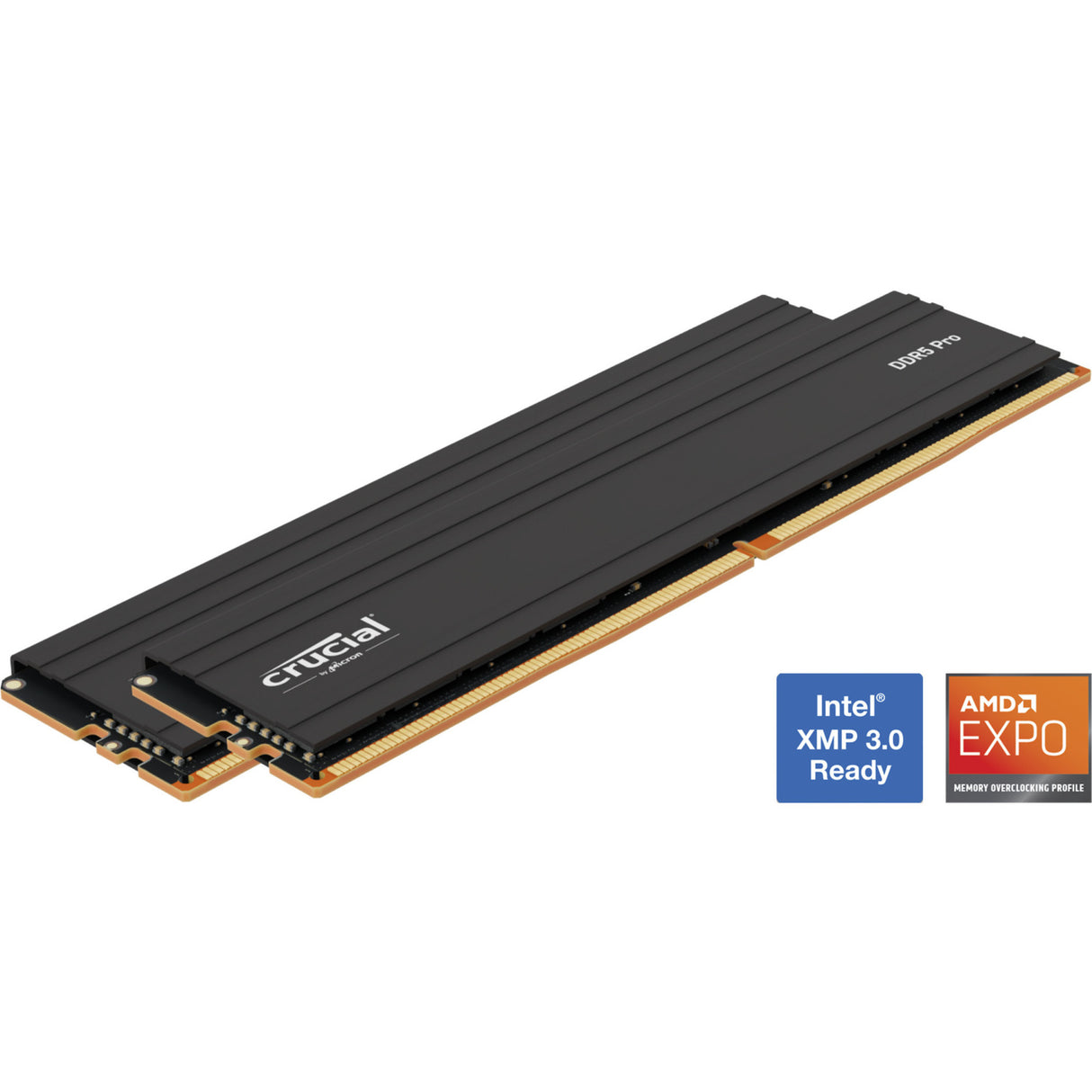 Crucial 32 GB DDR5-5600-Kit